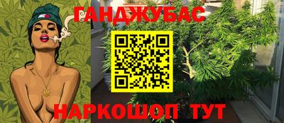 скорость Жуковский