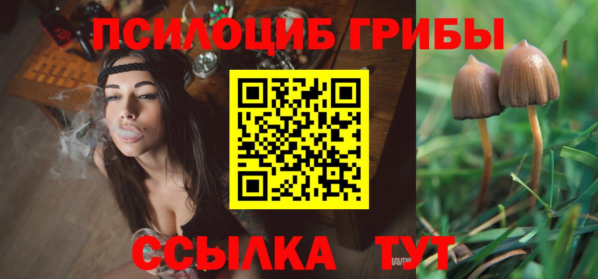Магадан  Галлюциногенные грибы Psilocybe  Вход с VPN 