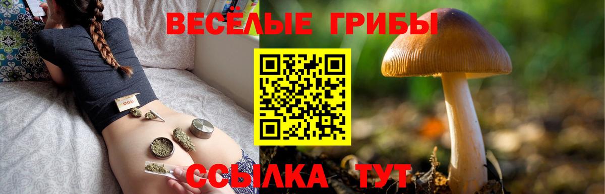 Магадан  ГАШИШ  Вход с VPN  МЕФ кристаллы 