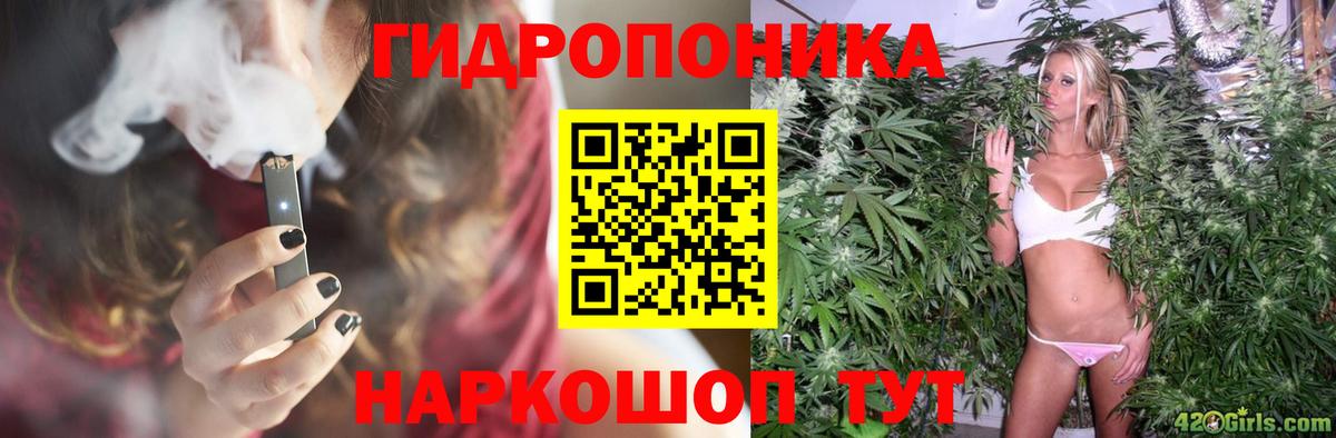 Шишки марихуана сатива Магадан